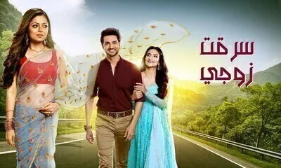 مسلسل سرقت زوجى الحلقة 100 والاخيرة مدبلج